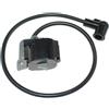 AOLUOER Bobina di accensione for M//a//k//i//t//a BBX7600 EB7650WH EB7660TH EB7660WH EBH7650TJ PM7650H D//o//l//m//a//r PB-7601.4 PB-7602. 161837-1 597-70010-10