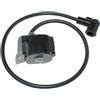 LIWaaGe Bobina di accensione for BBX7600 EB7650WH EB7660TH EB7660WH EBH7650TJ PM7650H PB-7601.4 PB-7602.4 161837-1 597-70010-10