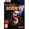 SmallYin Twilight Scene It?