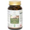 ALTA SELVA - Integratore Omega 3-6-9 con Vitamina D3 e K2, 120 Capsule Vegetali, Olio di Sacha Inchi, 100% Vegan