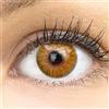GLAMLENS Lenti a contatto colorate marrone Verona Hazel - mensili - con porta lenti a contatto - marroni naturali in silicone idrogel - 2 pezzi - DIA 14,20 mm - senza correzione 0.00 diottrie