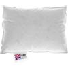 Homescapes, cuscino con imbottitura interna in piume d'oca, White, 35 x 50 cm