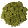 Verde stabilizzato Lichene Stabilizzato Vero 100% Naturale, 250g - Muschio Scandinavo Conservato per Decorazioni - Ideale per Parete Verde, Terrario, Presepi, Modellismo e Composizioni Fai da Te (Verde Oliva, 250g)