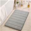 Hiseng Tappetino da Bagno Antiscivolo in Memory Foam, Morbido Assorbente Tappetini Bagno Lavabile per Bagno, Doccia, Bagno, Bagno, Doccia (50x80CM,Grigio)