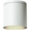 Partenopea Plafoniera faretto cilindrico tondo per soffitto da esterno IP54 per balconi terrazza patio androni Bagno cucina dotato di attacco per lampadine GU10 (Bianco, lampadina LED luce bianco naturale 4000K)