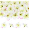 M METERXITY 50 Pezzi Teste Di Fiori Di Orchidea Artificiale, Teste Di Fiori Di Seta Finta Per Decorazioni Fai Da Te/Vestiti/Matrimoni/Feste [Verde Crema, 2.2/5.5cm]