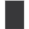 AUFUN Tenda a Rullo Oscuranti Oscurante 120 X 160 cm Tenda per luce diurna per Finestra, Senza Fori, Tutte parti montaggio incluse 100% Poliestere Tessuto - Antracite