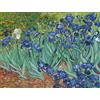 liziciti Kit di Pittura Diamante 5D per Adulti, Trapani Completi Capolavori di Van Gogh Strass Punto Croce Ricamo 30x40cm (Iris)