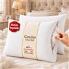 cuscini fiber - 2 Cuscini Letto Matrimoniale Ultra Soft Imbottiti con Fibra di Poliestere Molto Morbida, il Guanciale Letto Possiede un'Altezza di 15cm REGOLABILE, Federa Anallergica con Zip (Silver)
