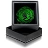Aluisi Fiori Rosa Stabilizzata VERDE in Cofanetto Nero - Rosa Stabilizzata Vera - Rosa Eterna - Fiore Stabilizzato - Fiori Stabilizzati - Simbolo di Manifestazione e Attesa - Idea Regalo
