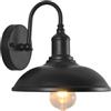 Moddeny Lampade da Parete per Esterni a Collo di Cigno - Impermeabili per Portico e Garage - Luci in Ferro Vintage Nere 10 Pollici