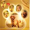 GORS Personalizzato Personalizzato Cane/Gatto Pet Foto Notte Luce Animale Immagine 3D Acrilico USB Lampada Notte Personalizzazione Regalo Fantasia (1 Colore,3)