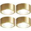 LEGZIT Confezione da 4 faretti in Ottone Spazzolato 3W,5W,7W,9W Faretto Rotondo Montato su Superficie 8cm,10cm Lampada da Incasso a bulbo oculare antiriflesso Lampada da Incasso a LED Oro/Nero