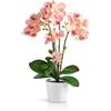 PASCH® Orchidea Artificiale in Vaso di Ceramica Lucida (46 cm) - Fiori Come Reali (Rosa Chiaro)