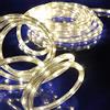 Bakaji Tubo Luminoso a LED per Esterno 10 Metri Bianco Caldo con Controller per Giochi di Luce, 18 Led per Metro, 180 LED Totale Super Luminoso.