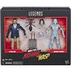 Marvel Legends Series - Action Figure da collezione Ant-Man and The Wasp 15,5 cm, ispirato al film di Luis and Marvel fantasma - Confezione da 2