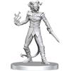 WizKids Pathfinder Battles Deep Cuts: Vordine (diavolo di fanteria) e Pitborn Rogue | Figura in miniatura non verniciata