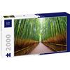 Lais Puzzle Sentiero della Foresta di bambù, Arashiyama, Kyoto, Giappone 2000 Pezzi