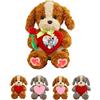 DRAJOIN Cane Di Peluche Personalizzato Con Cuore, Peluche Cane Custom Con Testo E Immagine Per Compleanno E San Valentino, 20cm