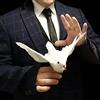 Rebetomo Elettronico Bionic Dove Trucchi Magici Classici Falsi Colomba Magia Puntelli Illusioni di Fase Gimmicks Professionale Mago Accessori