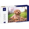 Lais Puzzle Barboncino 1000 Pezzi