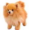 Hperu Peluche Pomerania Simpatico Simulazione Peluche Pomerania Animale realistico Cane 10x9 pollici Giocattolo per cani riempito di cotone per ragazze