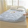 BlueDog Tatami Floor Mat Pieghevole In Cotone Giapponese Tatami Materasso Matrimoniale Singolo Futon Giapponese Materasso Da Pavimento Per Esterno Interno Campeggio Ospite(E,150 x 200cm(2kg))