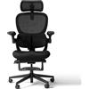 HINOMI Q2 Sedia da Ufficio Ergonomica con Supporto Lombare e Poggiatesta Regolabile, Seduta in Mesh con Braccioli Ribaltabili, Sedia Reclinabile con Poggiapiedi (Nero)