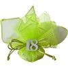 Doni Bomboniere 18 Anni Compleanno 12 pz Sacchettino in Tulle e Rete Verde Fluo con Applicazione 18 Anni Bianco in Legno Gadget Ragazza Evento Ragazzo