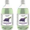 Generic Camomilla Torino - Fei Fan Diffusore Ambiente 26 Fragranze Naturali e Intense ad Alto Concentrato di Essenza - Made in Italy Formato Ricarica da 500ml - 2 Flaconi (Lavanda)