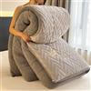 Rusopobe Piumini Invernali Queen Size Extra Caldo, Super Morbido Sherpa Comforter Soffice Trapunta Trapunta Reversibile Lambswool Quilt Core(B,180x220cm/4.0kg)