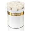 Aluisi Fiori - 12 Rose Bianche Stabilizzate - Box Bianca (Ideale per Matrimoni, Battesimi e Regali Puri)