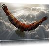 Pixxprint Aquila sopra le nuvole Stampa su tela 120x80 cm artistica murale