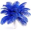 THARAHT 24pcs Piume di Struzzo Blu Naturale Bulk 8-10Inch 20cm-25cm per la Festa di Nozze centrotavola Pasqua Gatsby e casa Decorare Piume di Struzzo