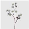 EDG Pino Ramo con PIGNA X3 INNEVATO H70 Colore : White Green