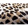 Confezioni Giuliana Coppia federe Cuscino 50x80 cm - N. 2 Federa per guanciale Leopardate Leopardato