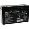 akku-net Batteria al Gel di piombo akku-net per:impianti ad energia solare, banco elevatore 6V 12Ah (sostituisce anche 10Ah), 6V, Lead-Acid