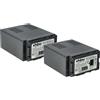 vhbw 2x batteria compatibile con Panasonic AG-HCM150, AG-HCM41, AG-HCM41EU videocamera camcorder (4400mAh, 7,4V, Li-Ion) con infochip
