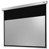Celexon Leinwand Motor Professional Plus 300 x 169 cm
