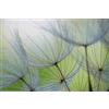 A.S. Création Carta da parati fotografica Dendelions - 3,75m x 2,50m - Carta da parati con denti di leone in verde, grigio incl. pasta - DD129569