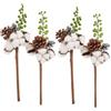 TOGEVAL 4 Pezzi Rami Decorativi con Fiori di Cotone Naturali Secchi Stecchini per Composizioni Floreali Autunnali e Decorazioni Fai da Te per Casa e Matrimoni