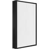 RAYPUR Filtro al carbone HEPA purificatore d'aria, compatibile con Sharp, FZ-60SEF FZ-40SEF Sostituzione for FU-888SV FU-440E FU-40SE FU-P60S FU-4031(FU888 HEPA Filter)