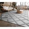 Paco Home Tappeto Salotto Moderno Soggiorno Pelo Corto Motivo Boho Motivo Scandinavo 3D Moderno, Dimensione:160x220 cm, Colore:Grigio