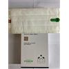 HOMELY MF 600 PARQUET 1 PANNO originale per pulilava folletto SP 600-600 S MAT N 58048