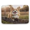 asbwuo Tappeto da bagno colorato con motivo a cane Welsh Corgi, con retro antiscivolo, in morbida microfibra50,8 x 81,3 cm.