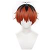ZGNGLIZ Parrucca per cosplay anime congelamento per Sousou No Frieren, lunghe parrucche bianche argentate con 2 code di cavallo rimovibili per donne e ragazze (forte)
