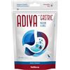 VetNova ADIVA® Gastric Medium & Large 30 Chews