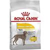 ROYAL CANIN Canine Dermacomfort Maxi 10kg 10000 G