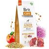 Brit Care Ipoallergenico Junior Large Breed Agnello - Dry Dog Food - 12 kg