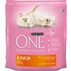Purina One Junior Pollo 1,5 kg